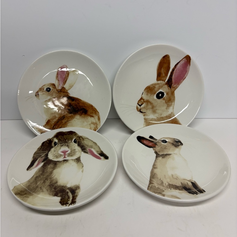 Arlington Designs Easter Bunny dessert appetizer Plates - Set of 4